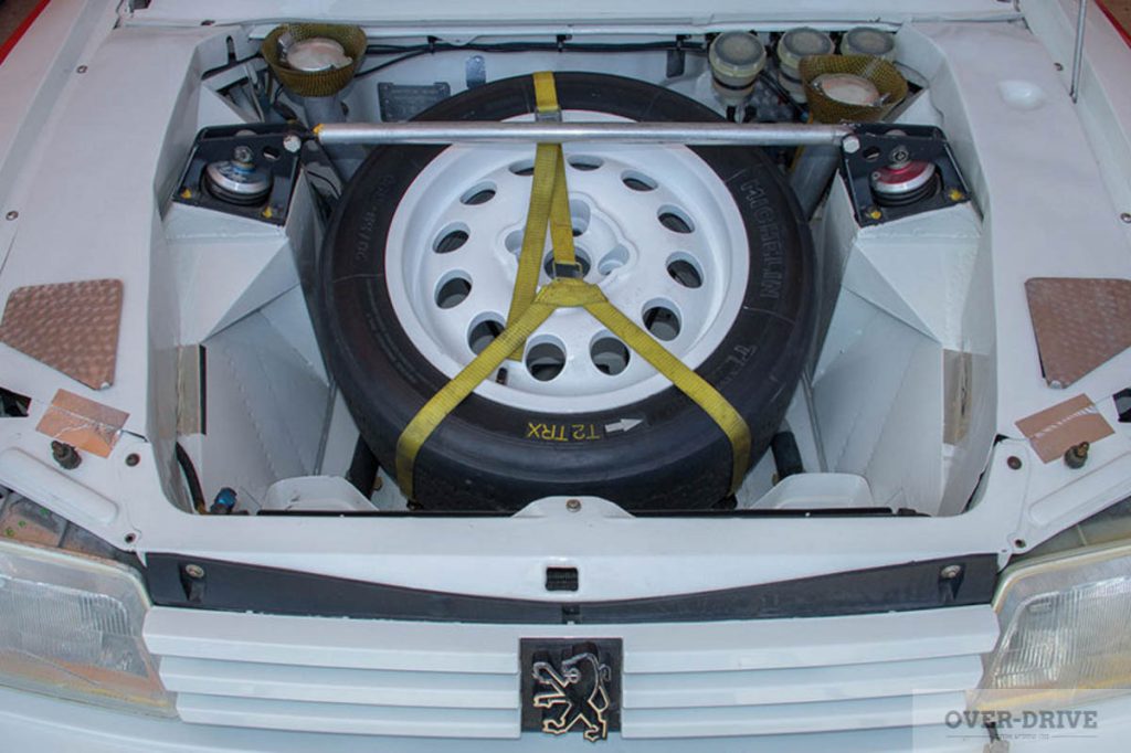 נראית שמורה