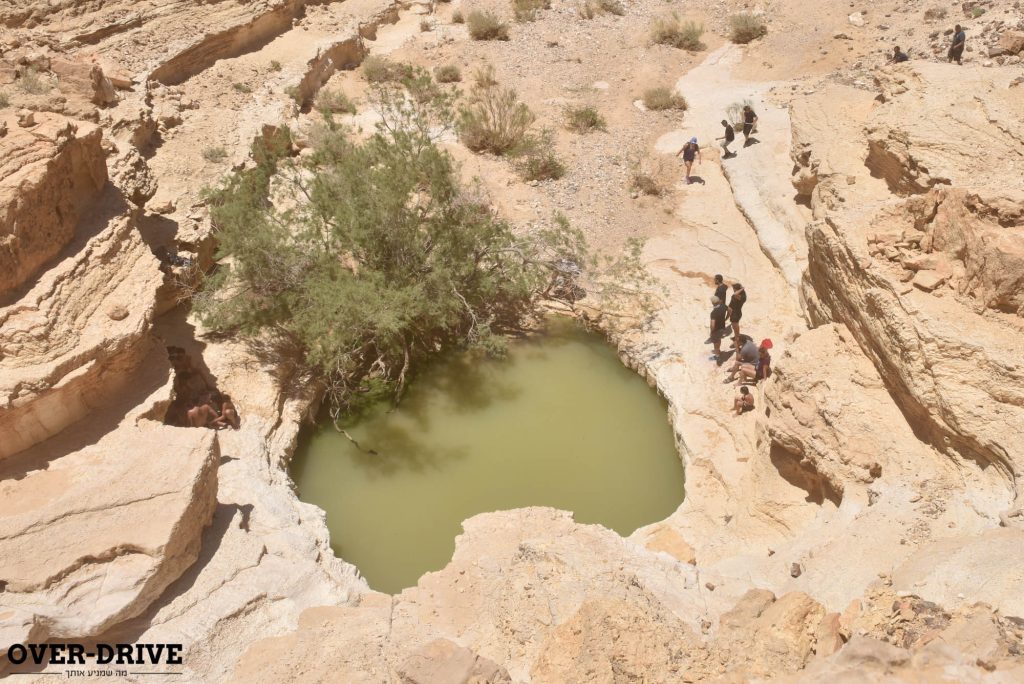 קאן-אם מאווריק X3