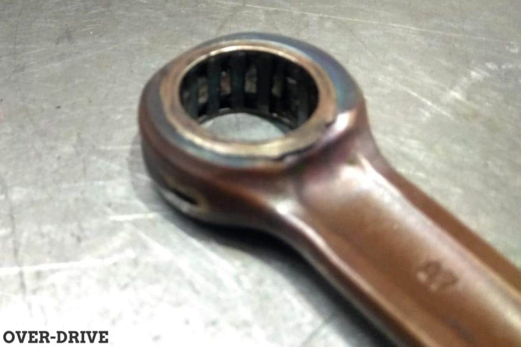 פרויקט מסלול (דיווח 2): הוא חי!