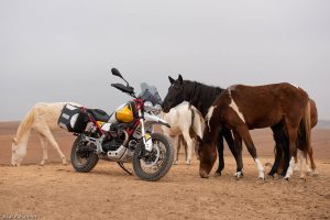 מוטו-גוצי V85TT