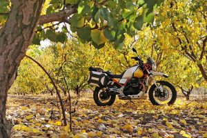 מוטו-גוצי V85TT