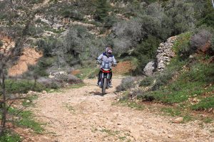 אפריליה טוארג 660