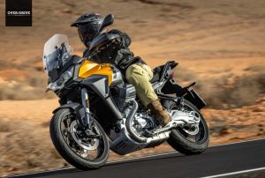 מוטו גוצי סטלביו