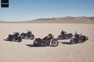 אינדיאן סקאוט