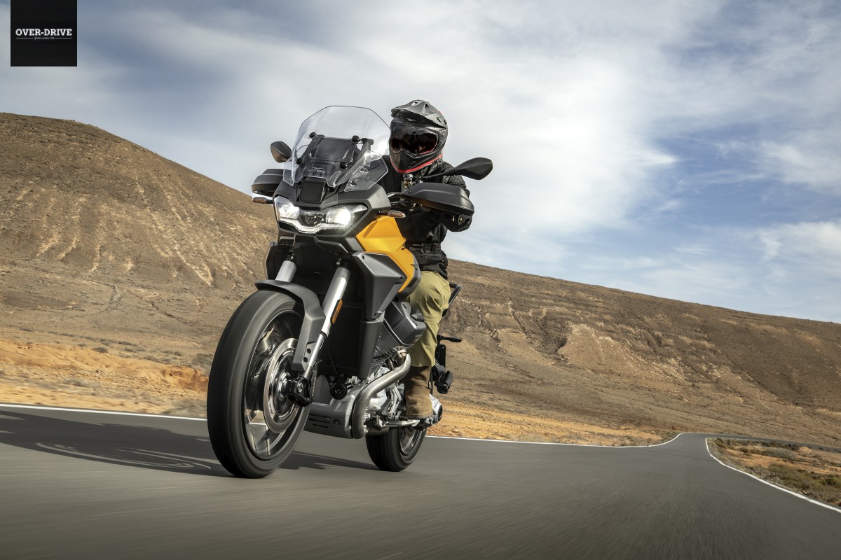 מוטו גוצי סטלבי