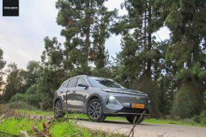 ג'ילי סטאריי